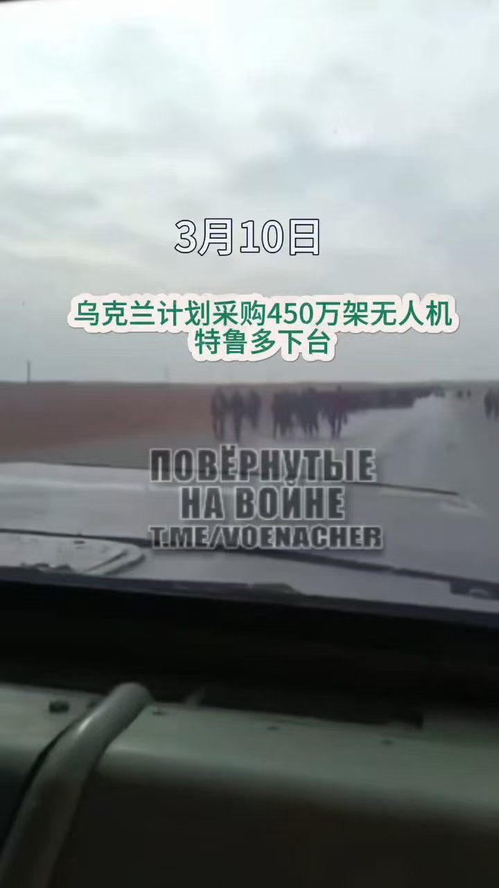 专家称Polkadot将在年底冲破178美元，引发引发关注