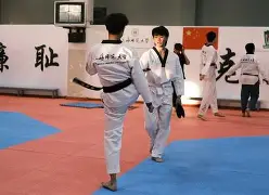 海滨鲸鲨队鏖战南城黑豹队，跆拳道常规赛爆冷，转换速度占优。黑马成最大惊喜的简单介绍-九游网页版